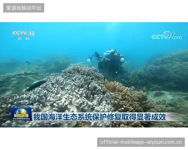 青岛海牛仅积十四分：从“海上奇观”到“生态守护”的精彩故事